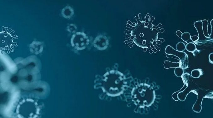 coronavirus