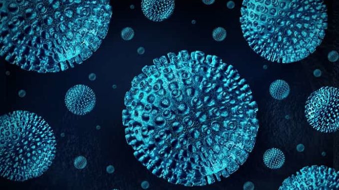 coronavirus