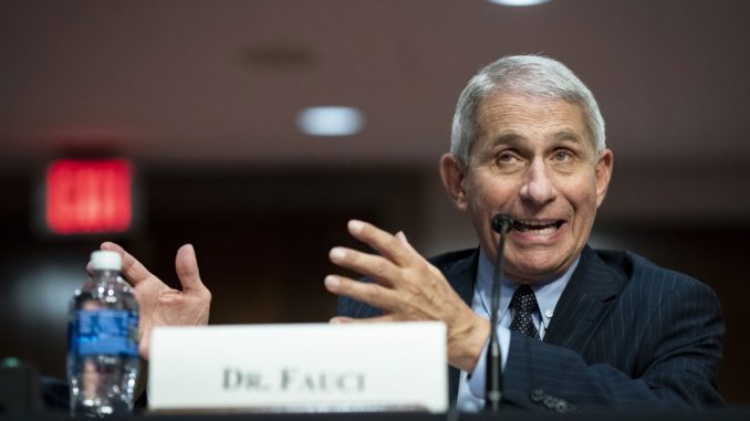 dr fauci