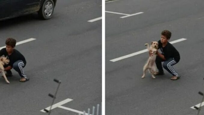 Garotinho-corre-para-resgatar-cao-960x400