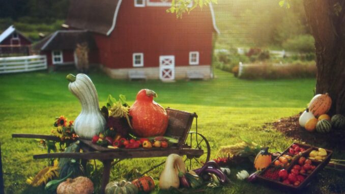 Thanksgiving