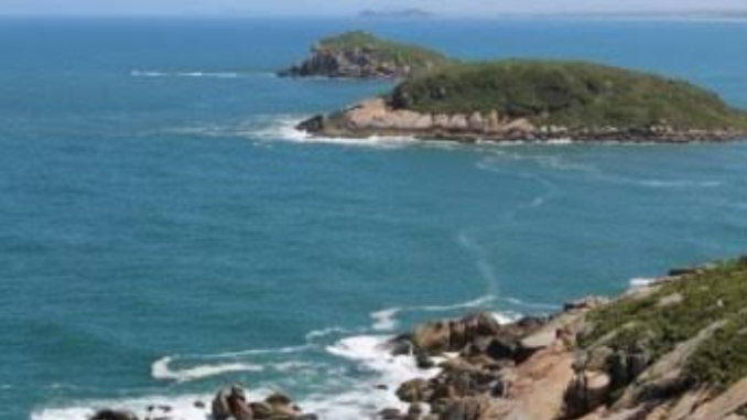 Design sem nome_20240827_103645_0000