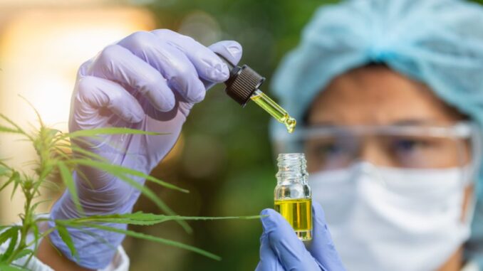 cannabis-medicinal-1024x536