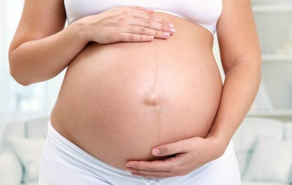 linha-ninha_01-600x400