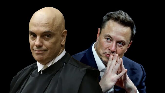 xandao-e-musk